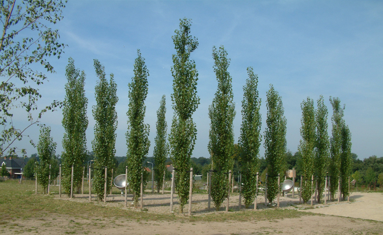 Park Overkamp Zutphen
